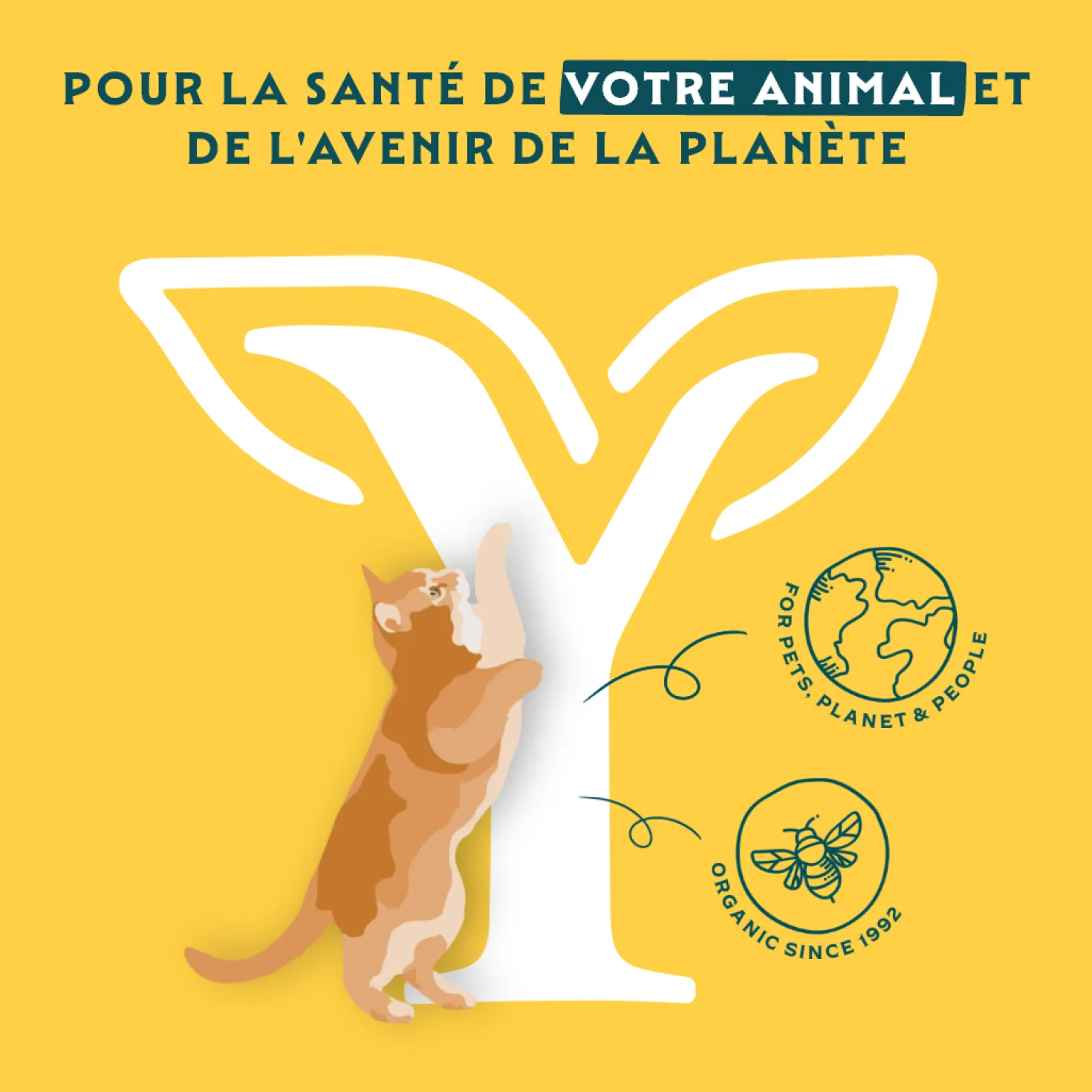 Yarrah bio - croquettes chat