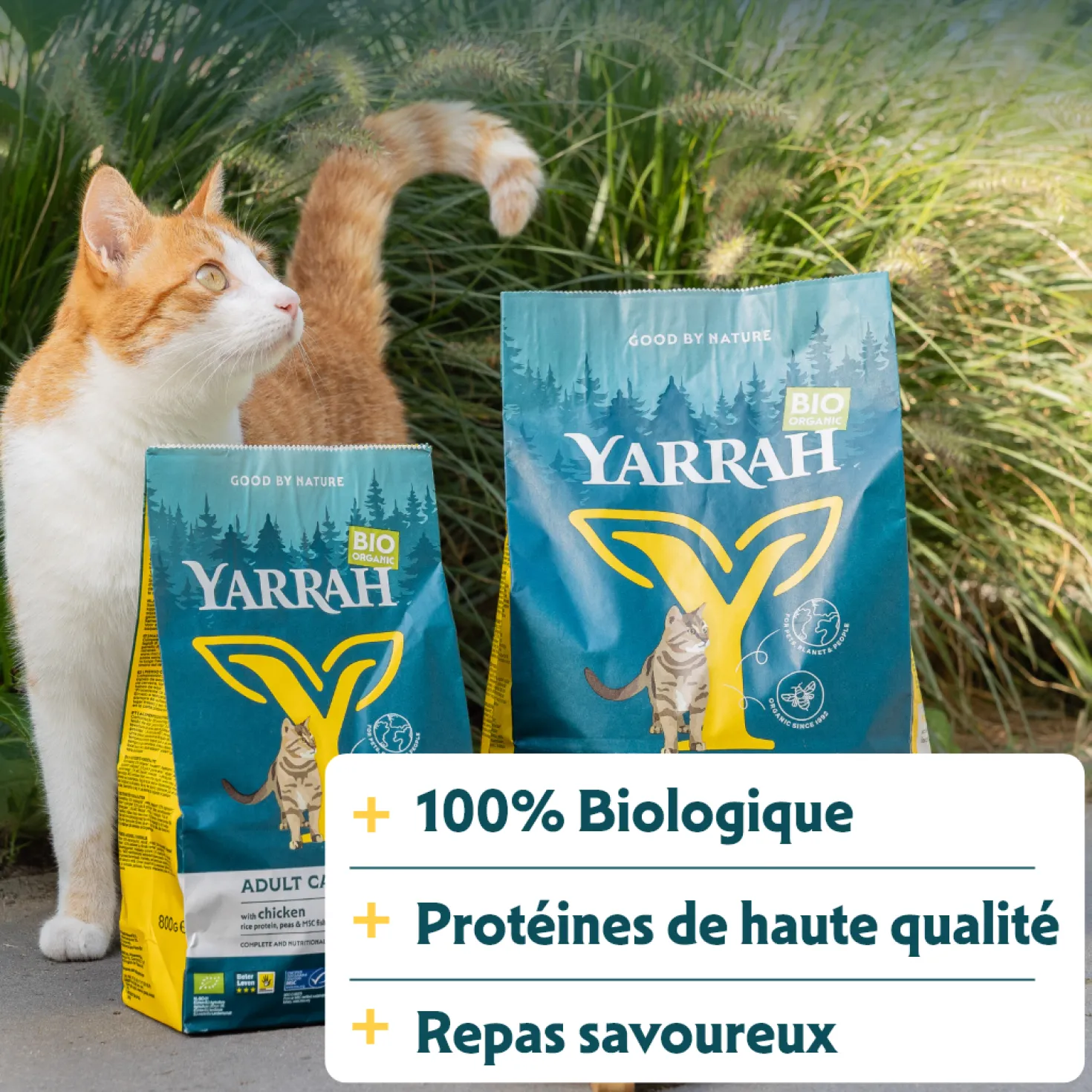 Yarrah bio - croquettes chat