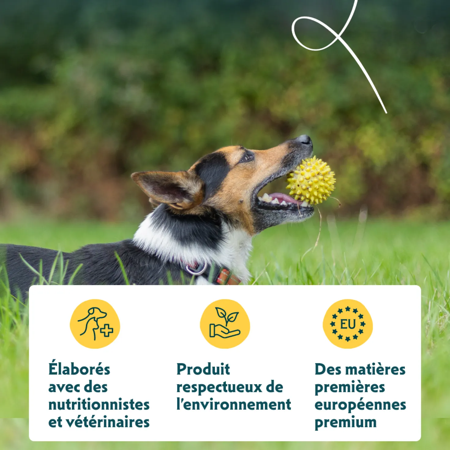 Yarrah bio petite race - croquettes chien