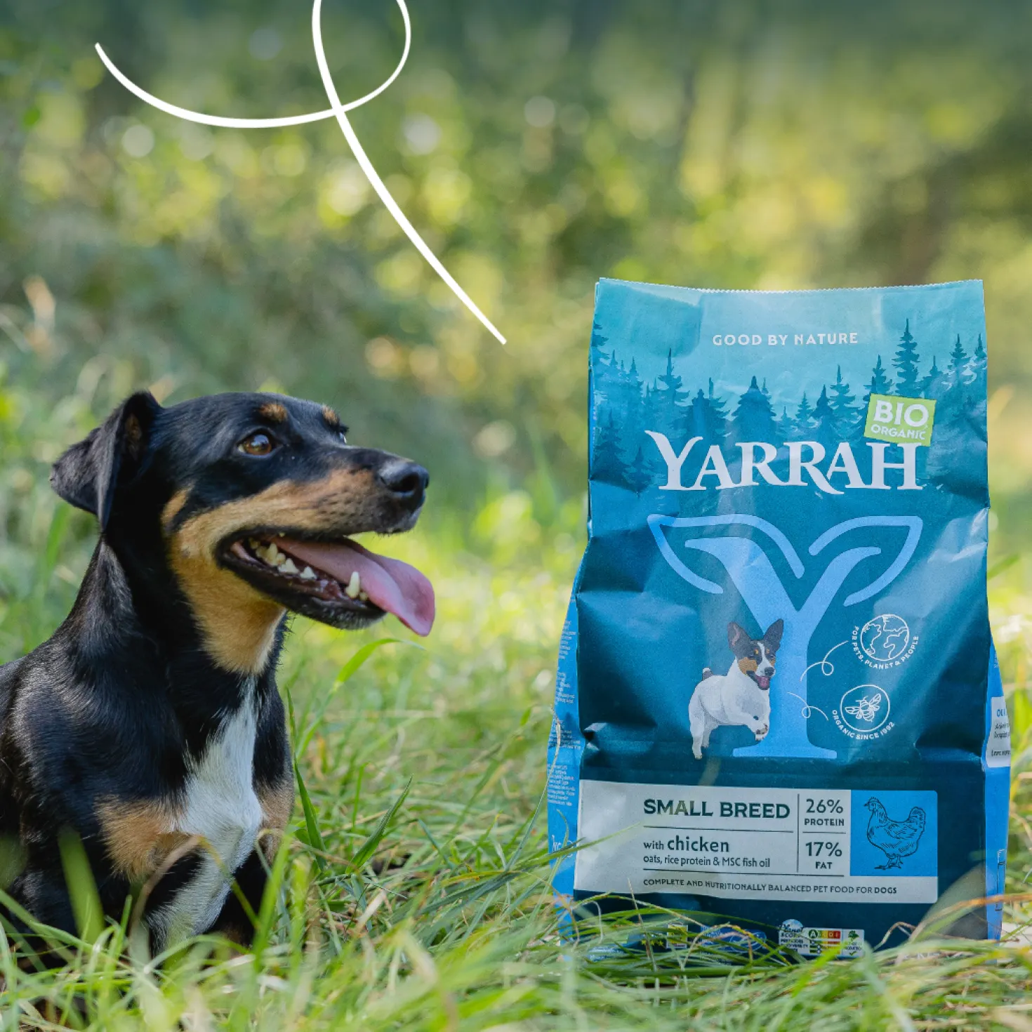 Yarrah bio petite race - croquettes chien