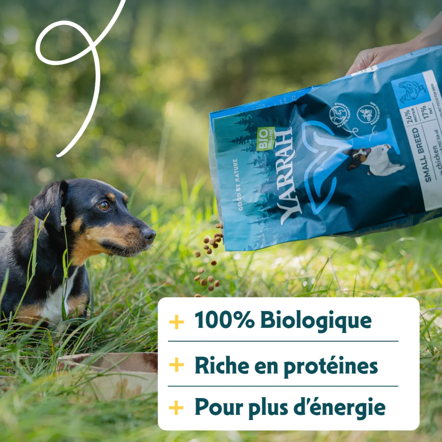 Yarrah bio petite race - croquettes chien