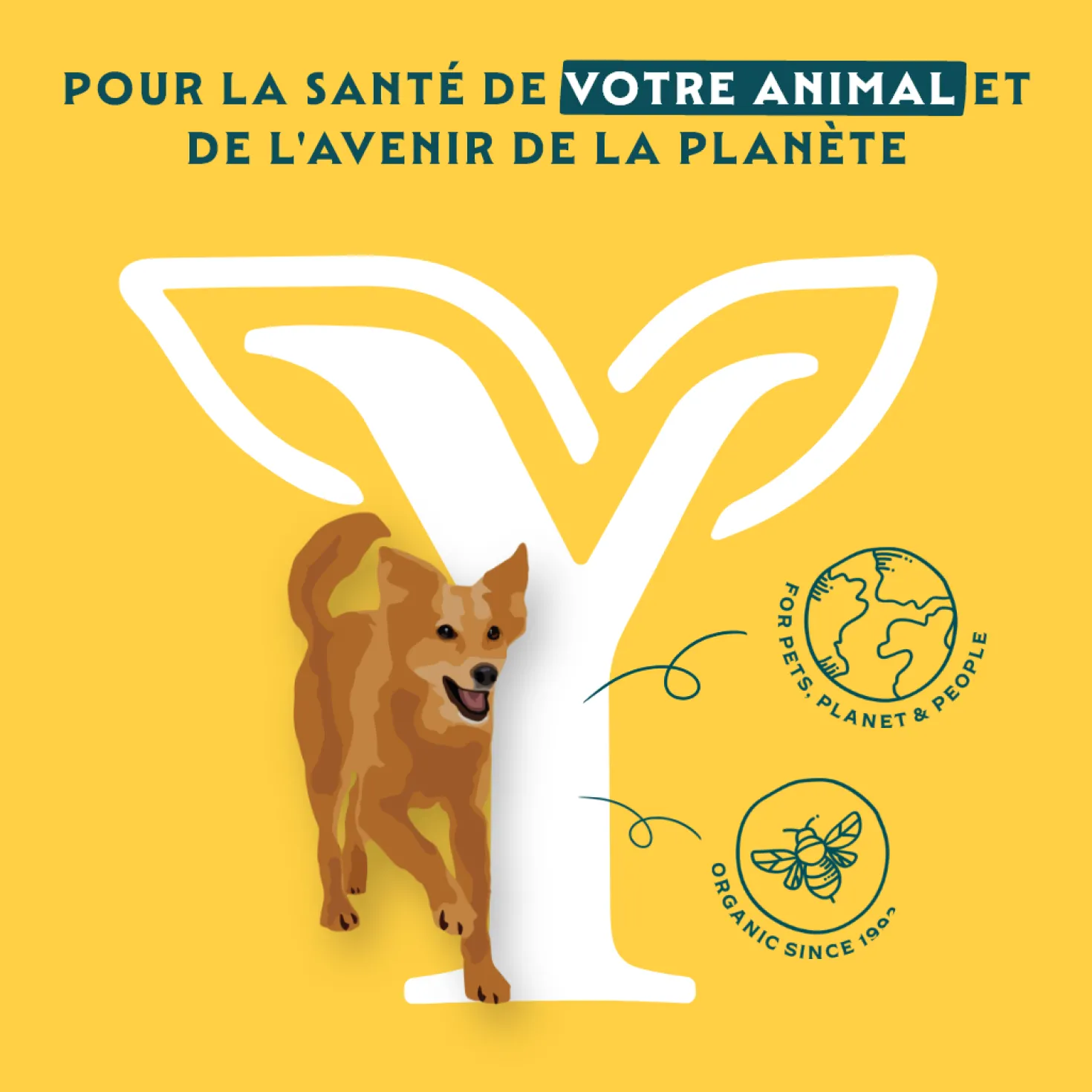 Yarrah bio - pâtée chien