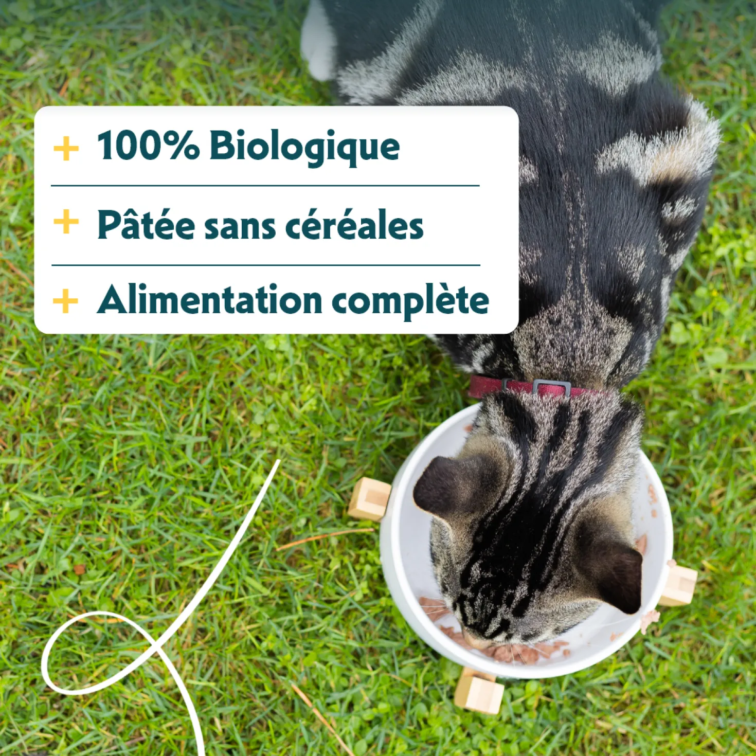 Yarrah bio sans céréales - pâtée chat