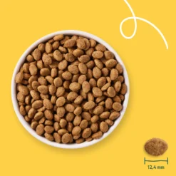 Yarrah Bio senior - croquettes chien