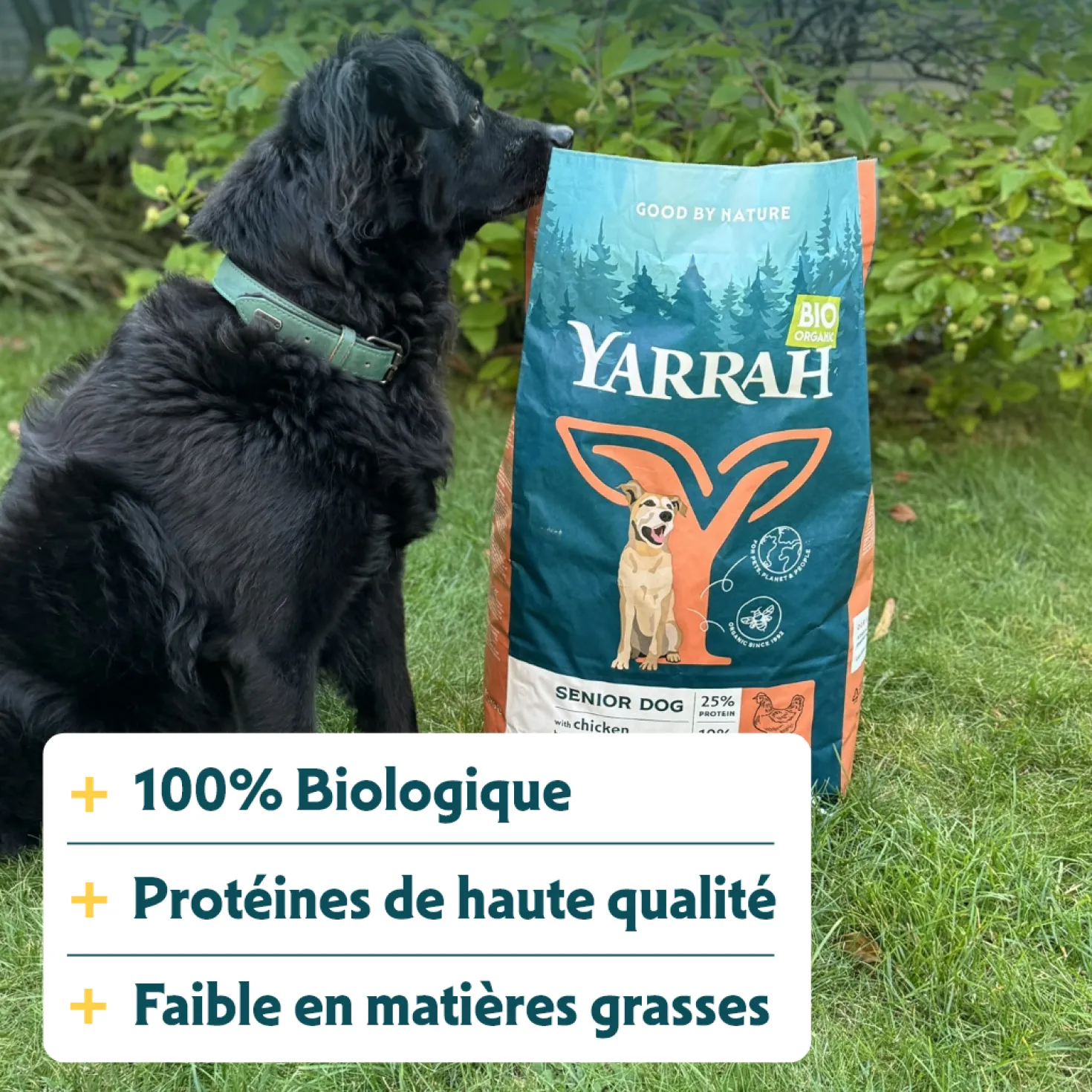 Yarrah Bio senior - croquettes chien