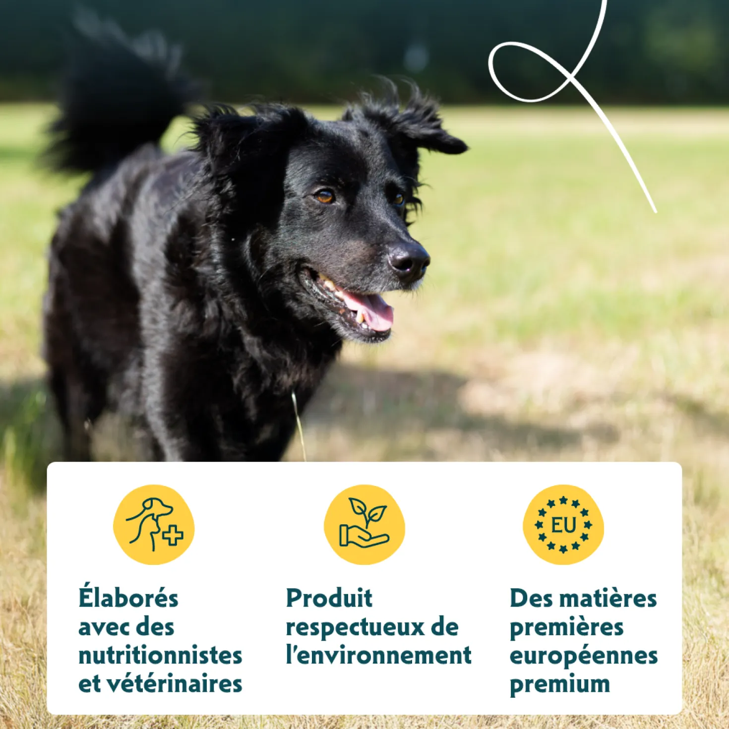 Yarrah Bio senior - croquettes chien