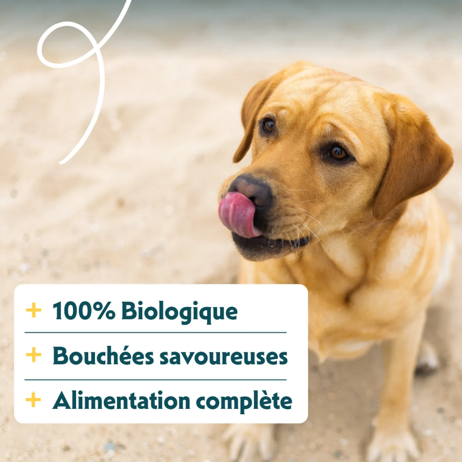 Yarrah bouchées bio Chien - Lot 12 x 405 g