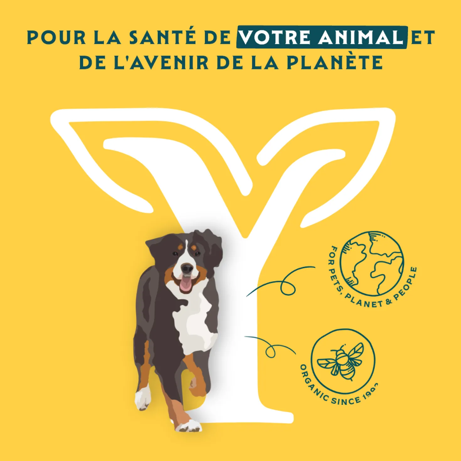 Yarrah bouchées bio Chien - Lot 12 x 405 g