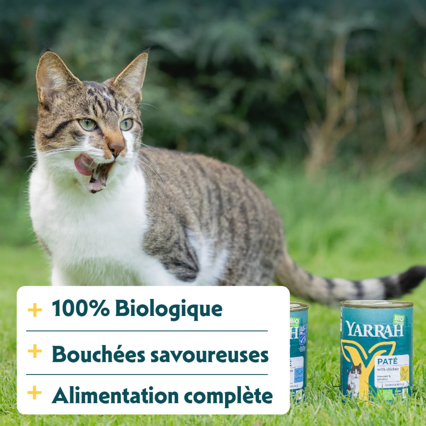 Yarrah bouchées bio - pâtée chat