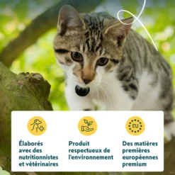 Yarrah bouchées bio sans céréales - pâtée chat