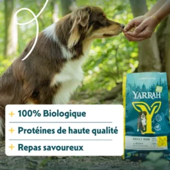 Yarrah croquettes bio chien