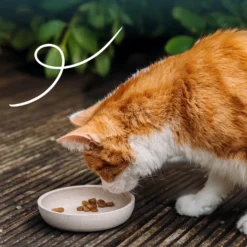 Yarrah croquettes Bio pour chat stérilisé