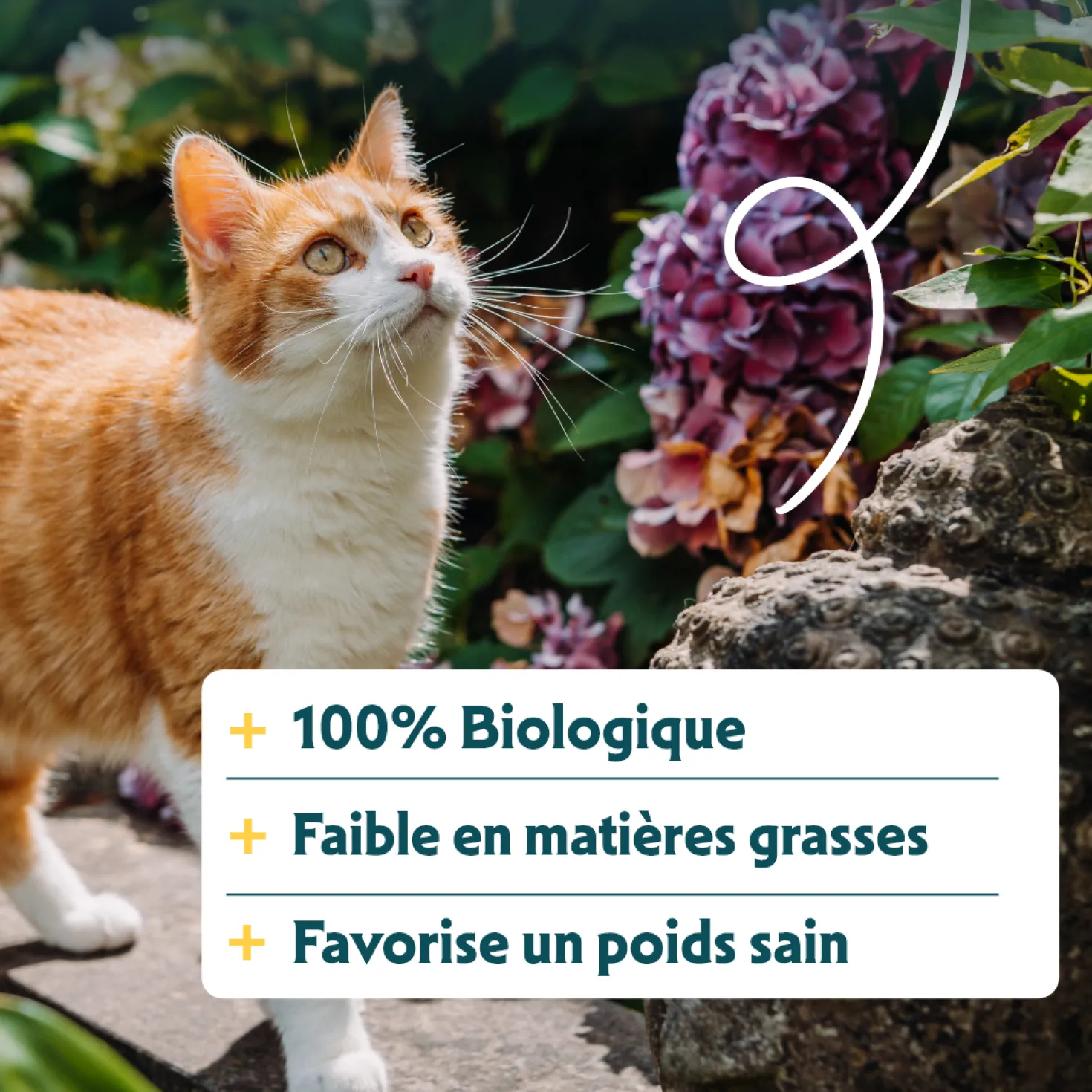 Yarrah croquettes Bio pour chat stérilisé