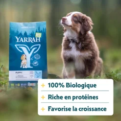 Yarrah croquettes bio pour chiot