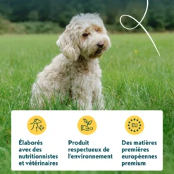 Yarrah croquettes bio sans céréales pour chien adulte