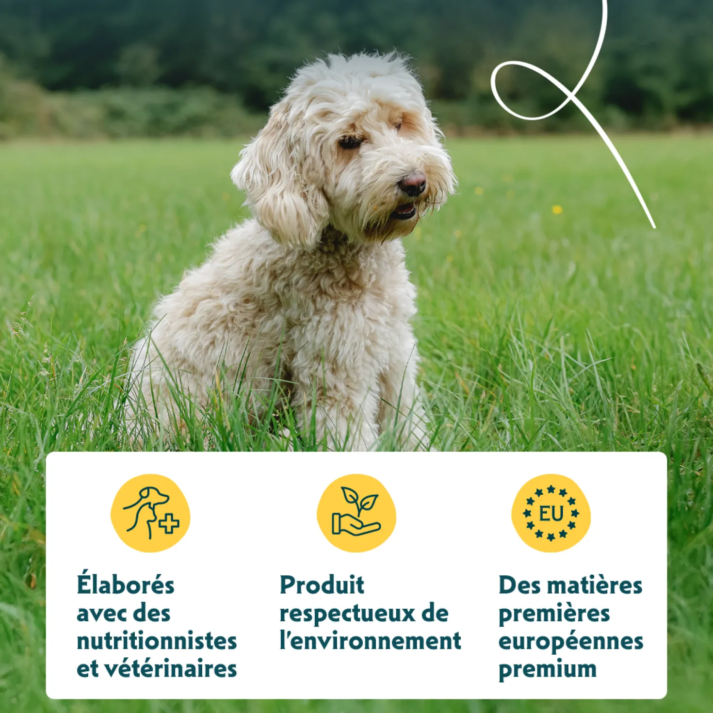 Yarrah croquettes bio sans céréales pour chien adulte