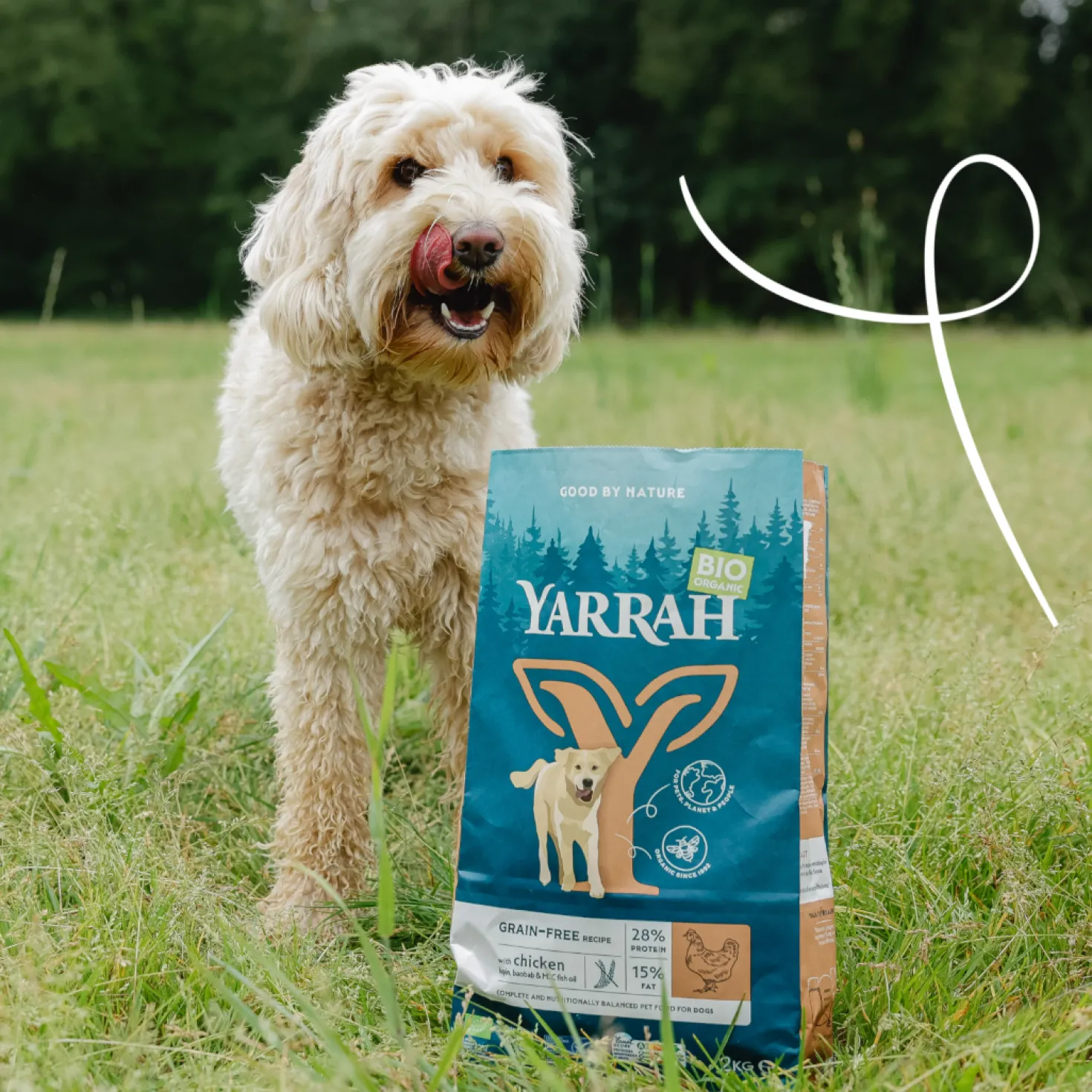 Yarrah croquettes bio sans céréales pour chien adulte