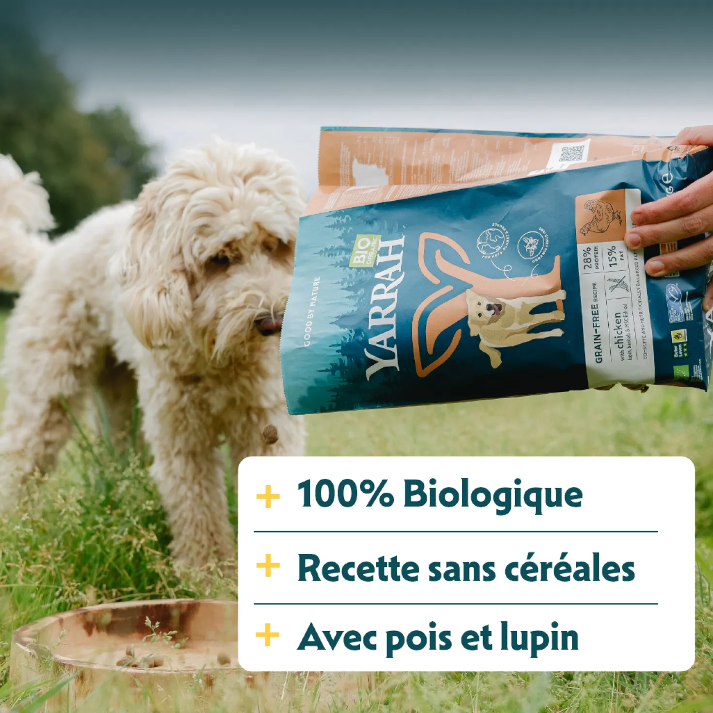 Yarrah croquettes bio sans céréales pour chien adulte