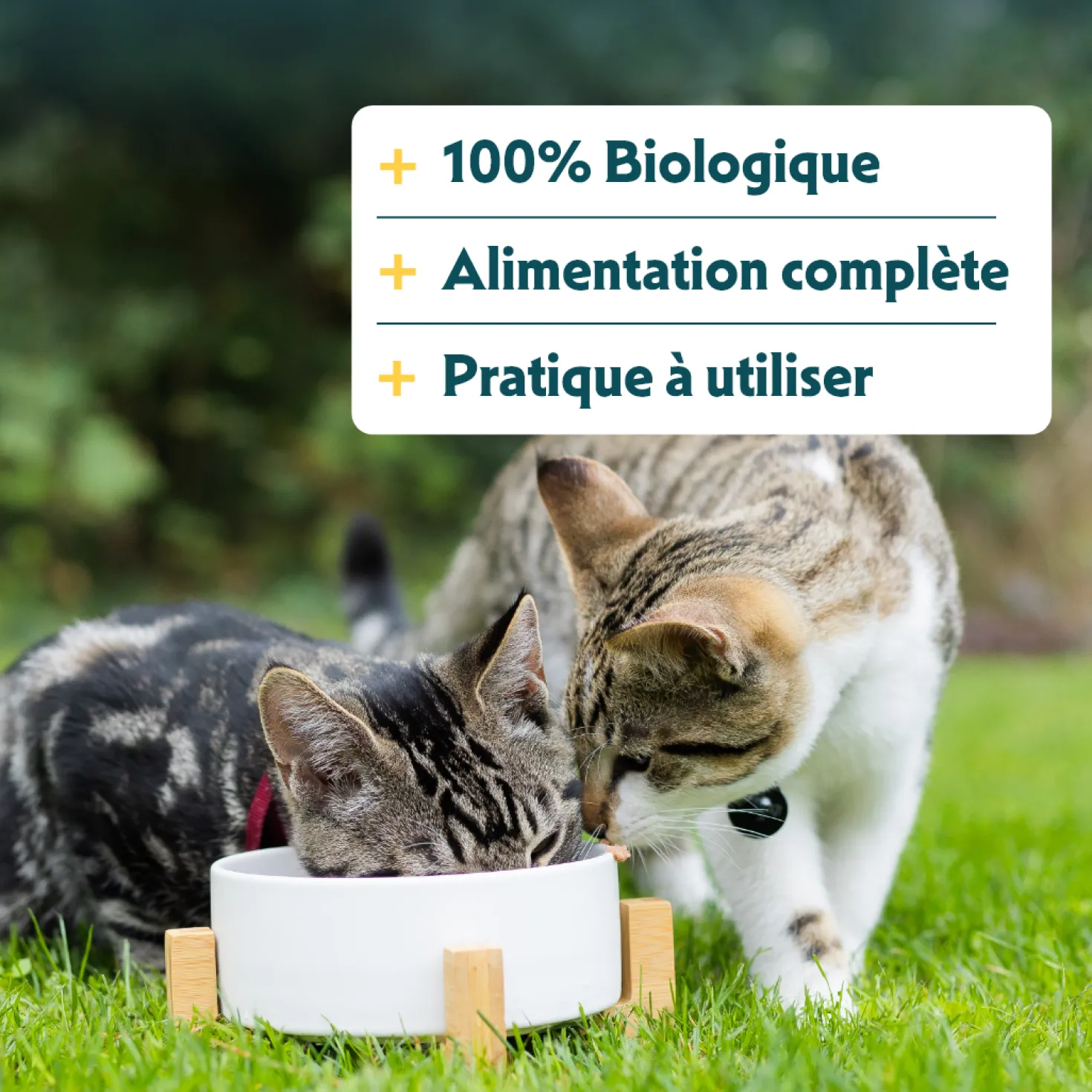 Yarrah filets bio en sauce - pâtée chat
