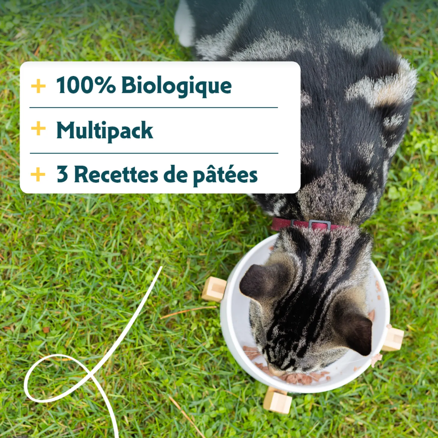 Yarrah multi-pack bio - pâtée chat