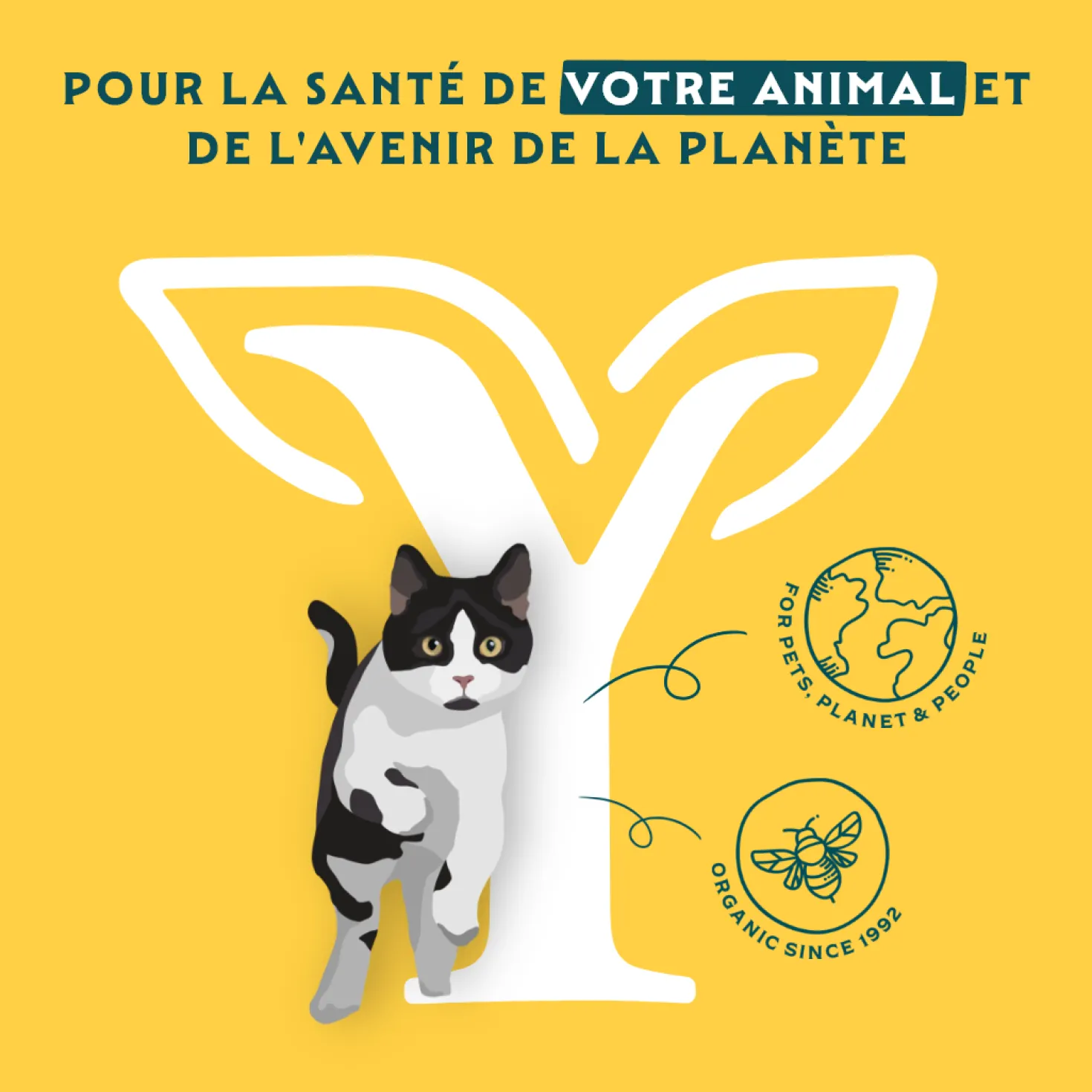 Yarrah multi-pack bio - pâtée chat