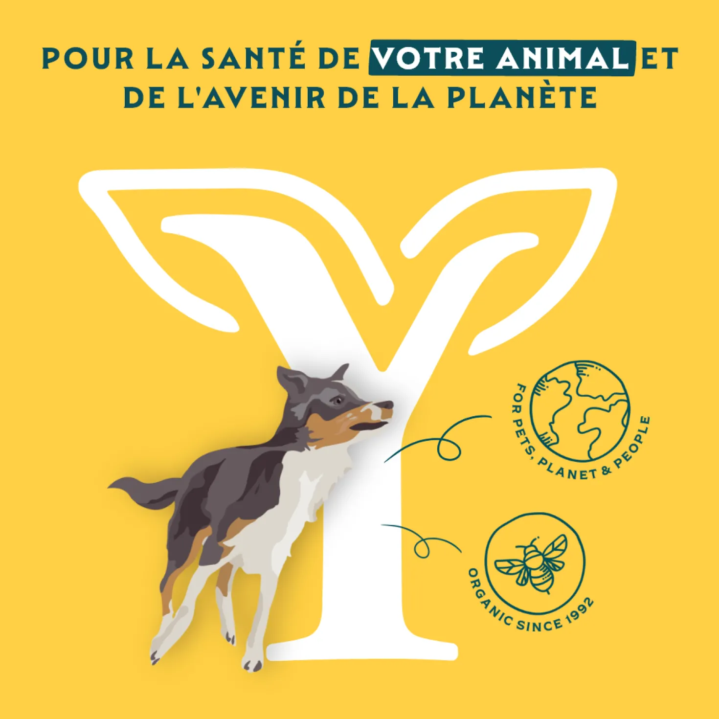 Yarrah multi-pack bio - pâtée chien