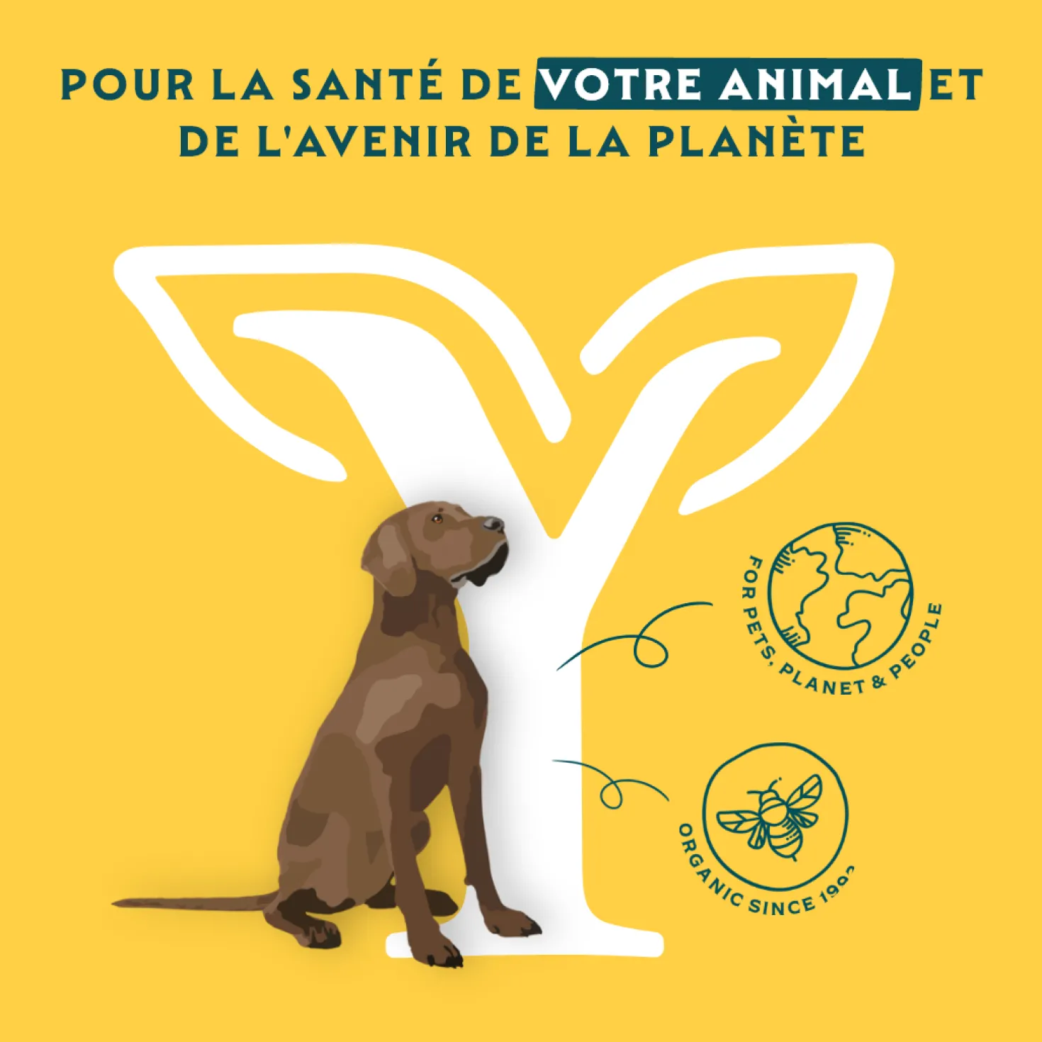 Yarrah pâtées bio sans céréales - Lot 12 x 400 g