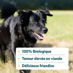 Yarrah sticks à mâcher bio chien