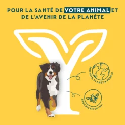Yarrah sticks à mâcher bio chien