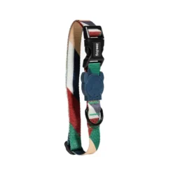 Zee Dog - Chien - Collier Pacco
