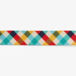 Zee Dog - Chien - Collier Phantom