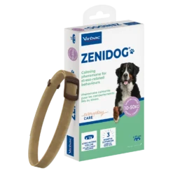 Zenidog collier pour chien