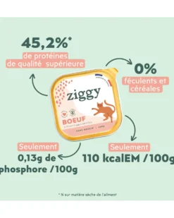 Ziggy Adult Boeuf Pâtée Pour Chat