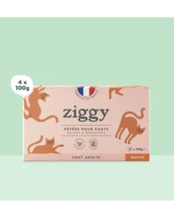 Ziggy Adult Boeuf Pâtée Pour Chat