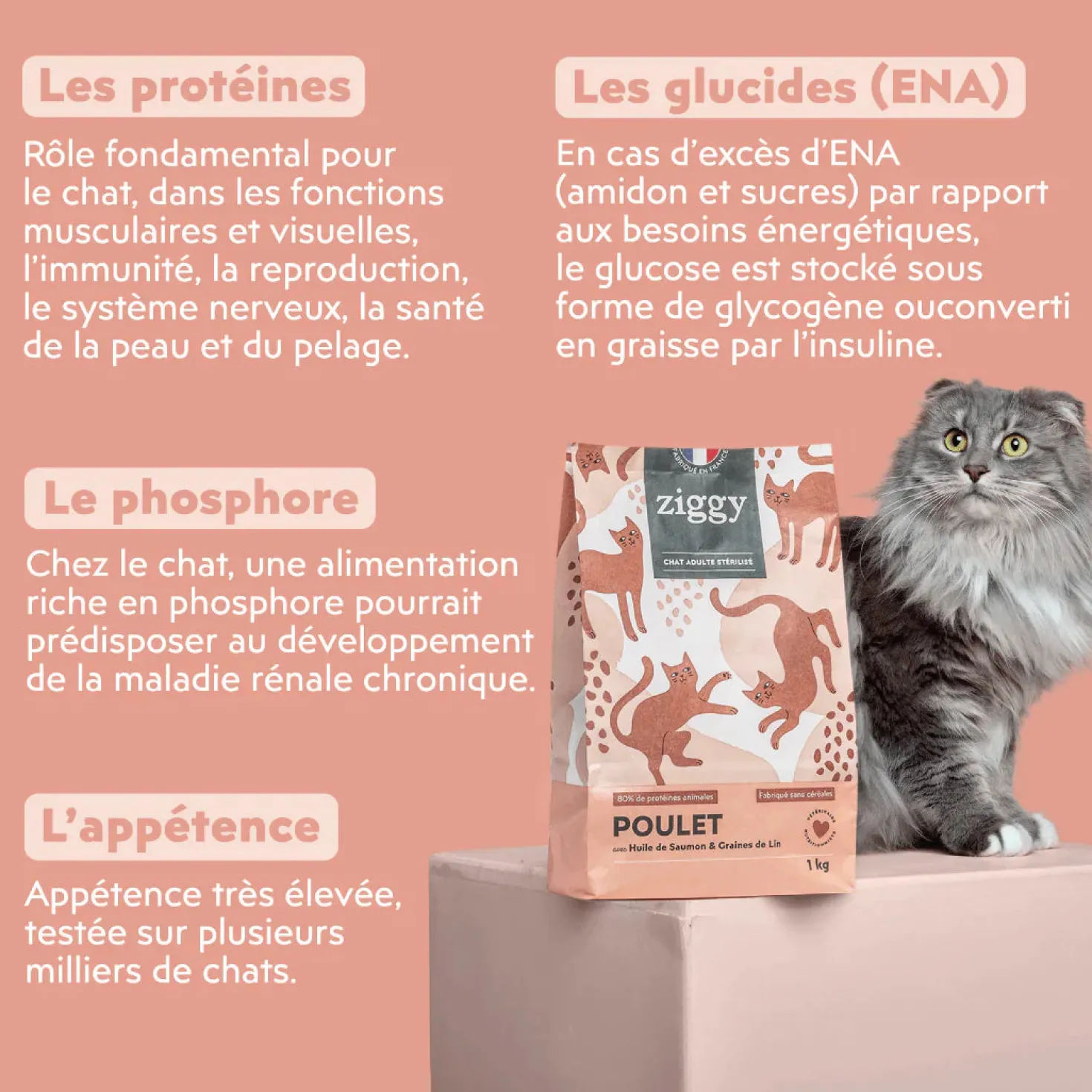 Ziggy Chat Adulte Stérilisé Poulet