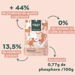 Ziggy Chat Adulte Stérilisé Poulet