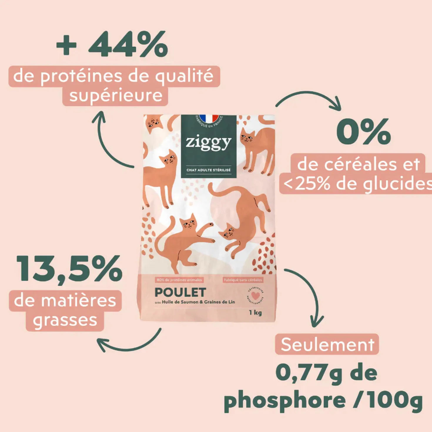 Ziggy Chat Adulte Stérilisé Poulet