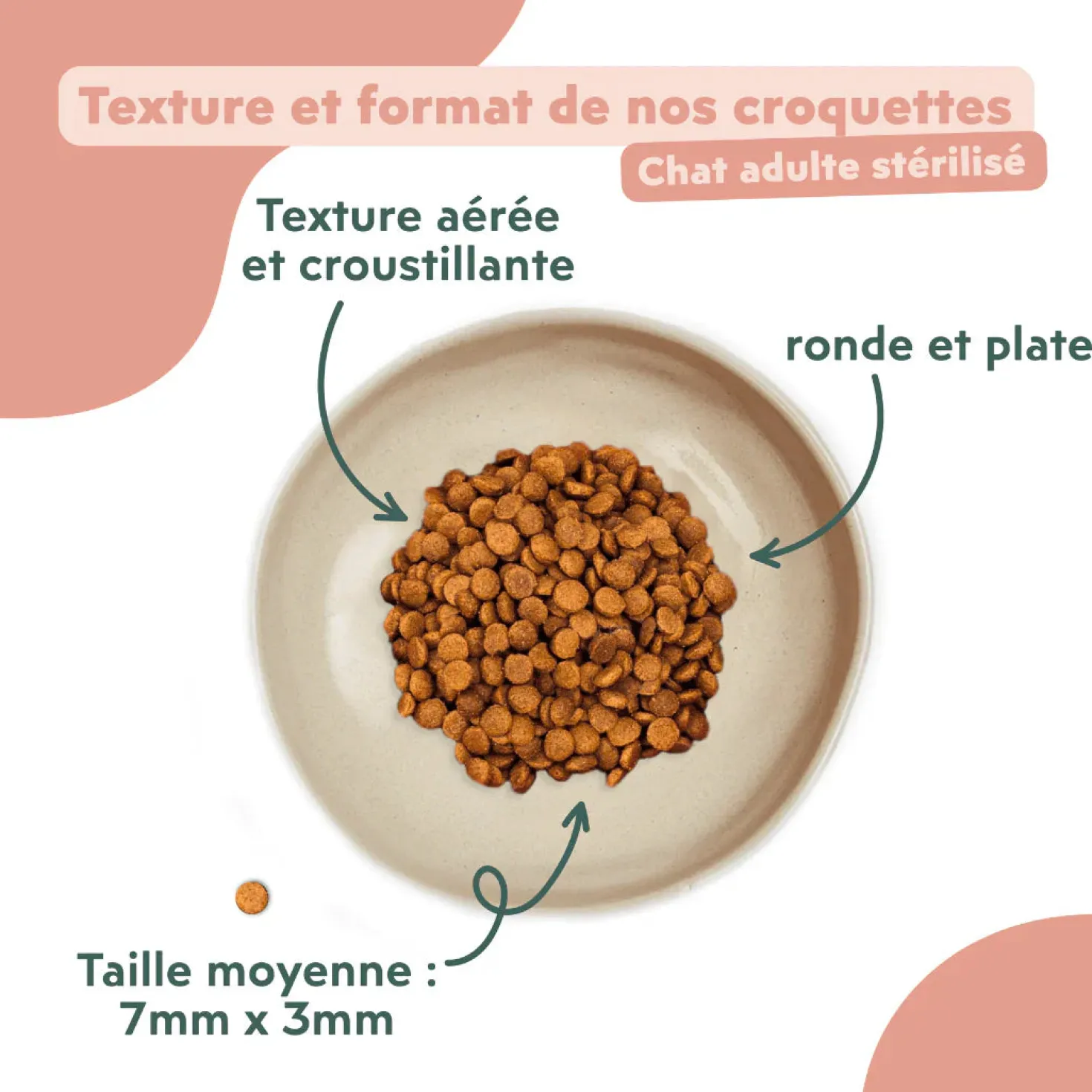 Ziggy Chat Adulte Stérilisé Poulet