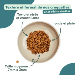 Ziggy Chat Adulte Stérilisé Saumon Croquettes 1kg