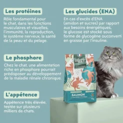 Ziggy Chat Adulte Stérilisé Saumon Croquettes 1kg