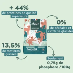 Ziggy Chat Adulte Stérilisé Saumon Croquettes 1kg