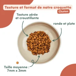 Ziggy poulet - croquettes chaton